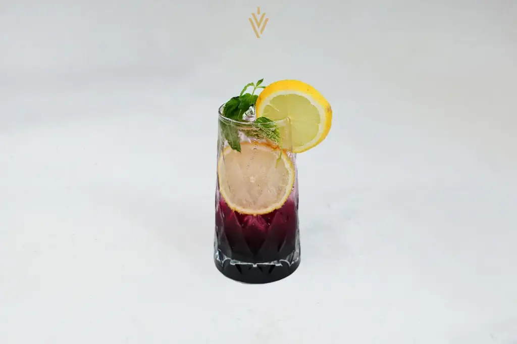 RSP Raspberry Mojito